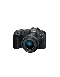 EOS R8 + RF 24-50mm f/4.5-6.3 IS STM